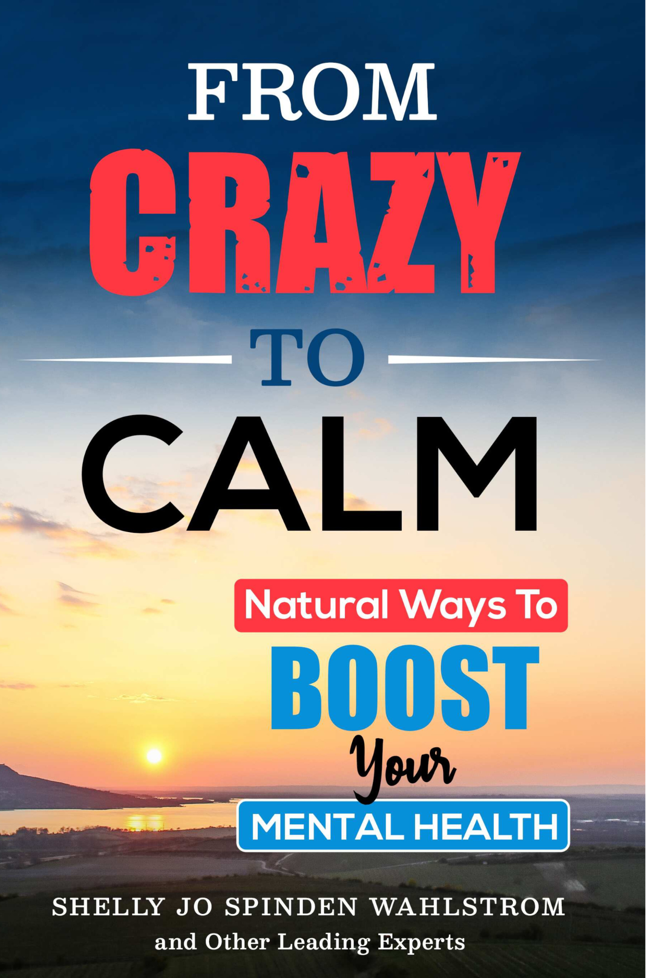FROM CRAZY TO CALM - NATURAL WAYS TO BOOST YOUR MENTAL HEALTH BOOK